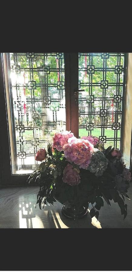 B&B Villa Delle Palme Carpi Dış mekan fotoğraf