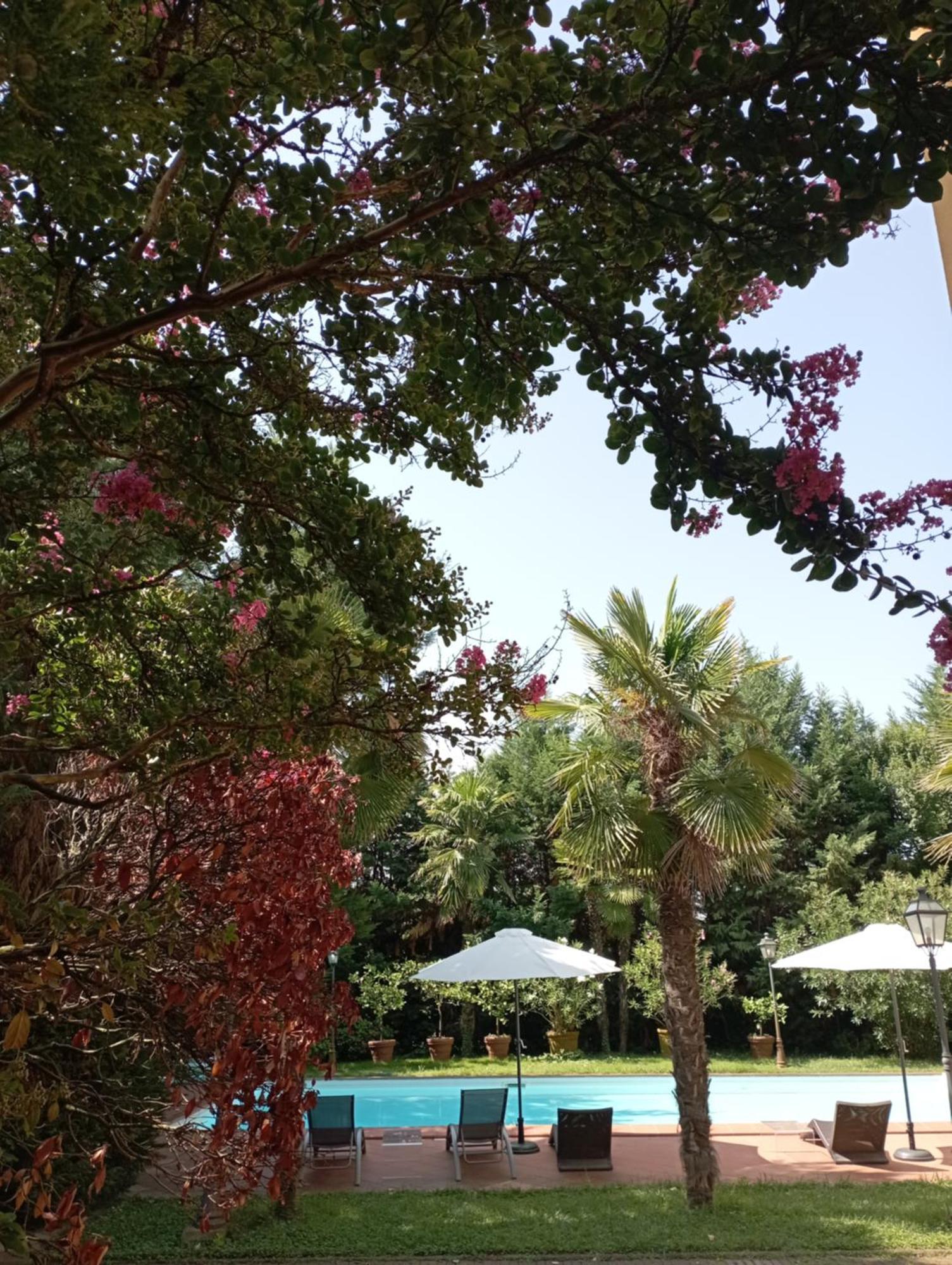 B&B Villa Delle Palme Carpi Dış mekan fotoğraf